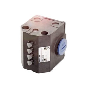 Выключатель блочный BNS 819-B04-D08-40-11 | BNS01UK