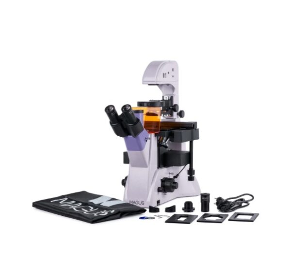 Микроскоп люминесцентный инвертированный MAGUS Lum V500L